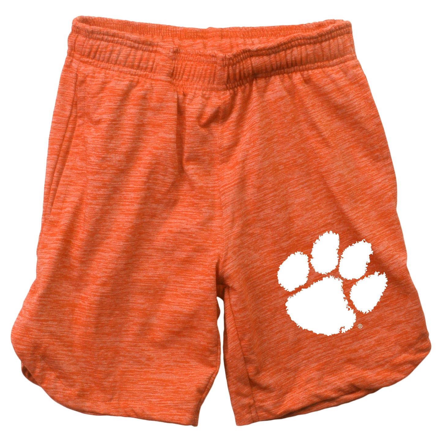 Clemson Tigers Youth Boys Wes and Willy Cloudy Yarn Shorts