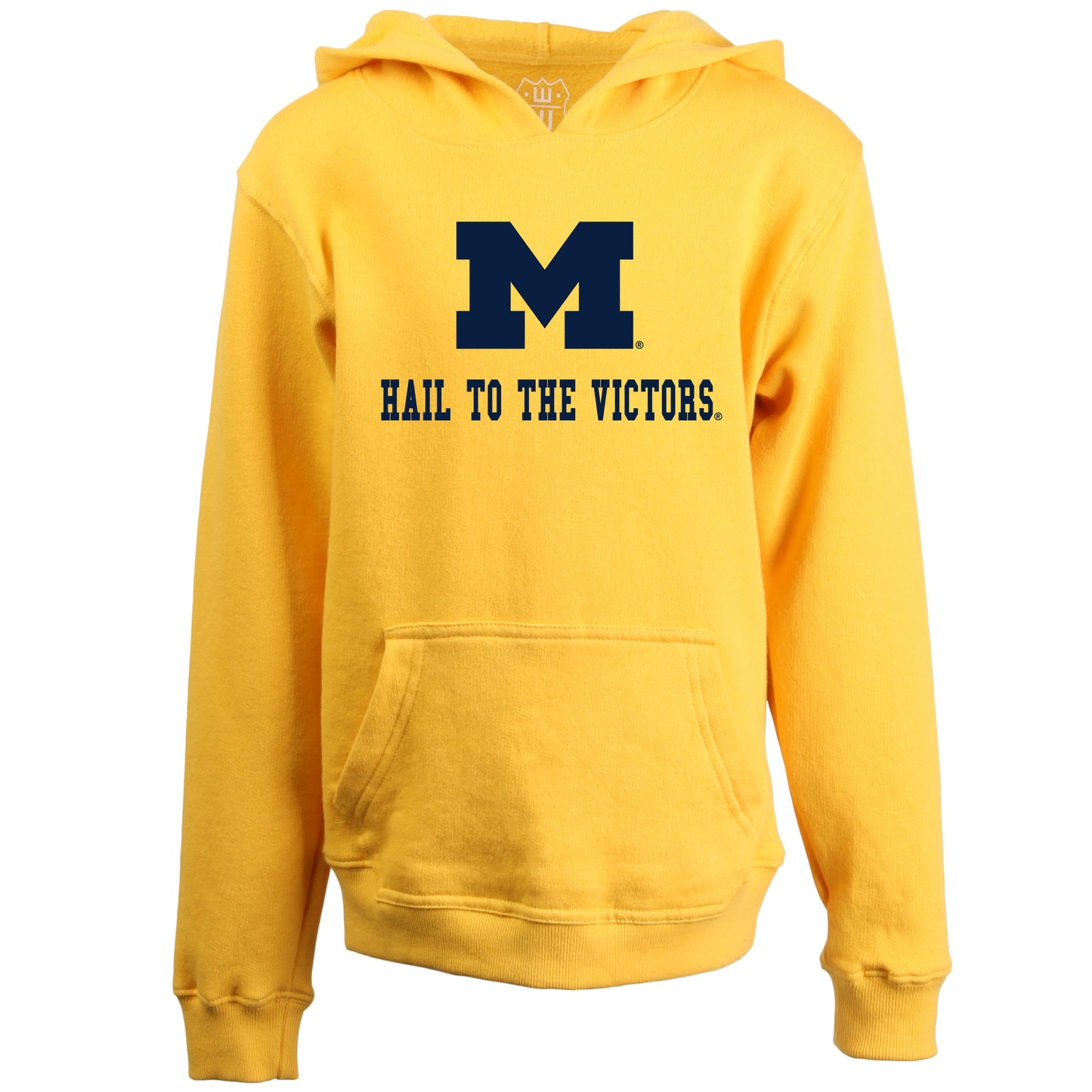 Michigan Wolverines Wes and Willy Youth Boys Team Slogan Pullover Hoodie - Yellow